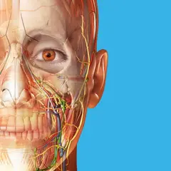 Human Anatomy Atlas 2027 아이콘