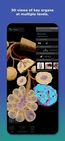Human Anatomy Atlas 2027 스크린샷 2