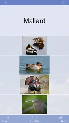 Flashcards Deluxe 스크린샷 2