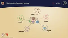 Foundations Memory Work C3 스크린샷 4