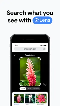 Google Chrome 스크린샷 2