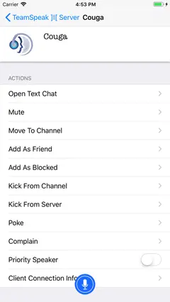 TeamSpeak 3 screenshot 3
