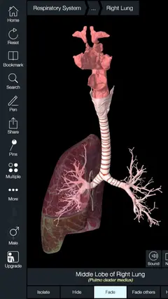 Essential Anatomy 5 스크린샷 3