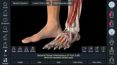 Essential Anatomy 5 스크린샷 4