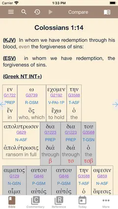 e-Sword LT: Bible Study to Go 스크린샷 4