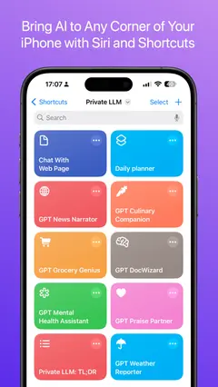 Private LLM - Local AI Chat 스크린샷 3