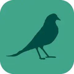 Wildwood: Follow the Crows 아이콘