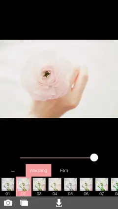 Analog Wedding 스크린샷 2
