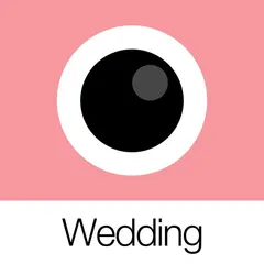 Analog Wedding 아이콘