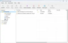 Hydra Download Manager 데스크톱 창: 왼쪽에 압축·문서·음악·프로그램·영상 카테고리 트리, 오른쪽에 일시정지 1건·완료 1건의 다운로드 목록, 상단에 일정 예약·대기열 시작 버튼