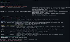 Terminal output of package-doctor scan: pillow and litellm flagged under FIX TODAY, with a list below split into replace, mitigate, upgrade and quiet.
